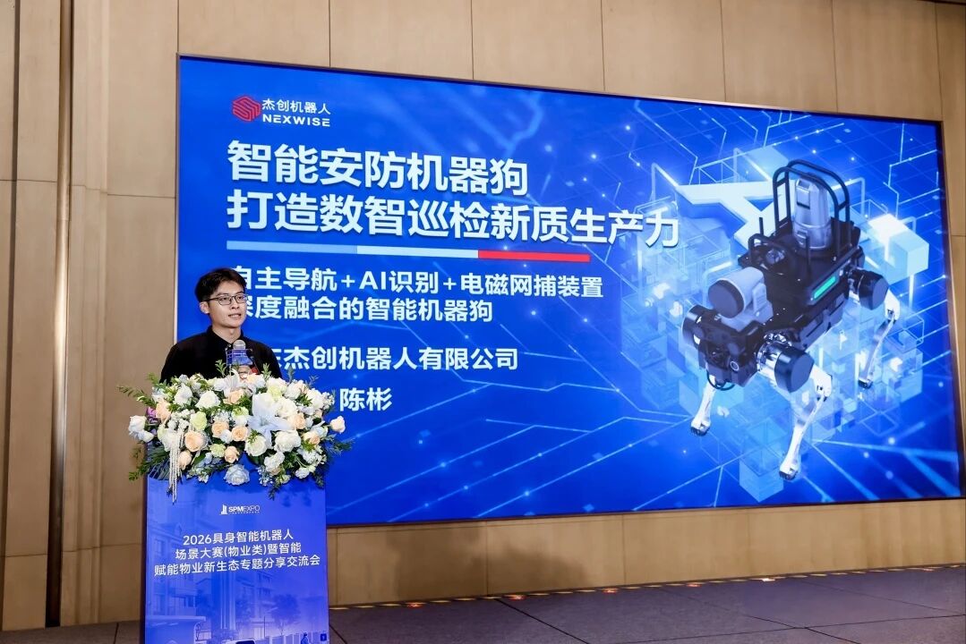 官网31